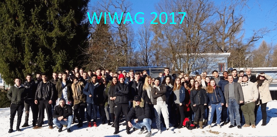 wiwag2017a